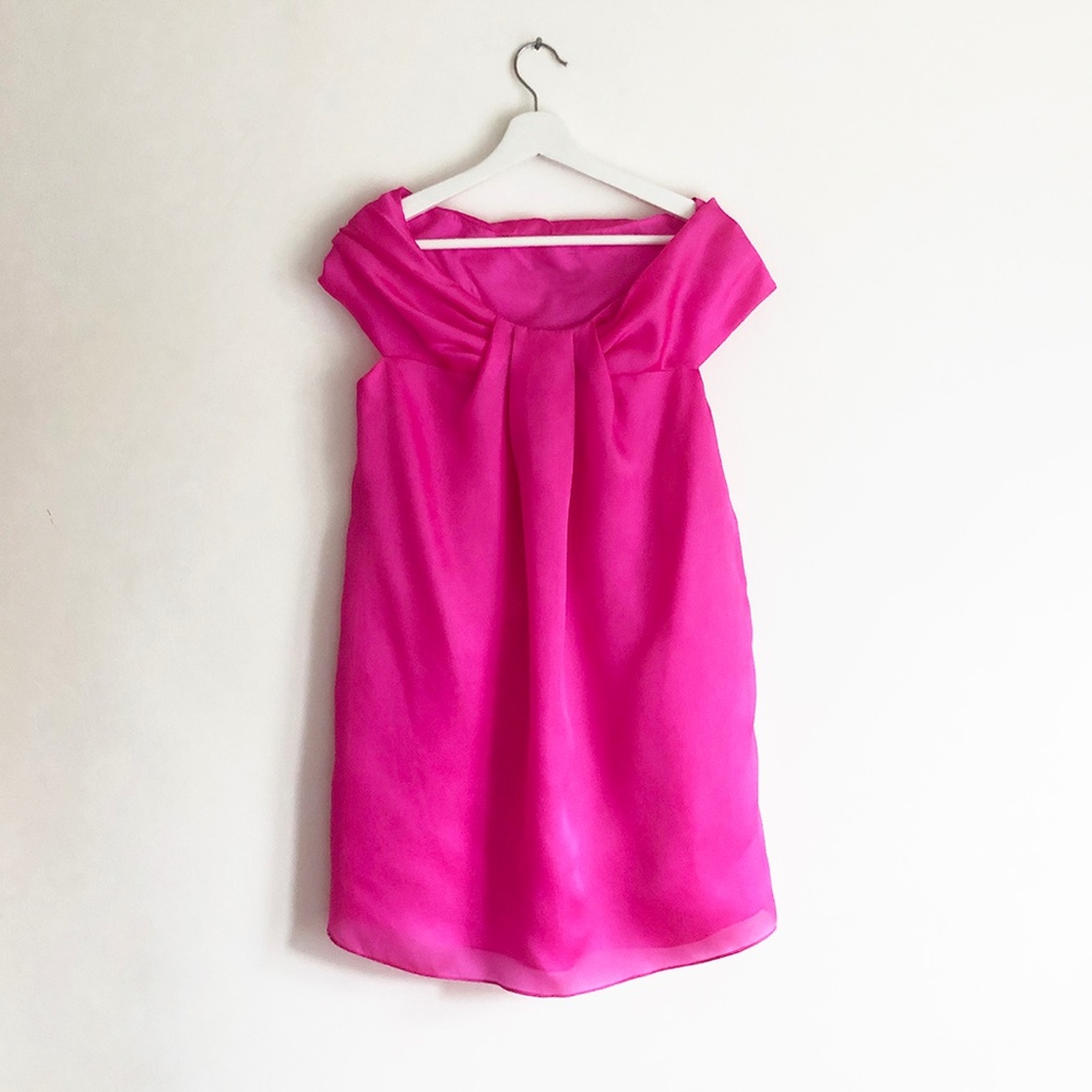 Vintage Diaphanous Pink Silk Organza Dress - image 1